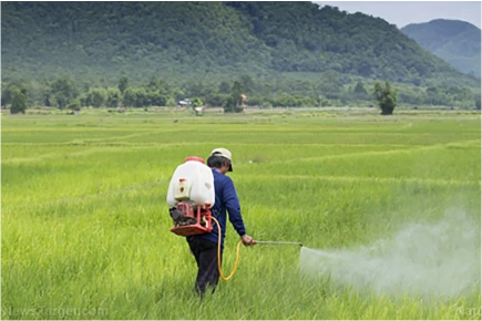 nitric acid manufacturer