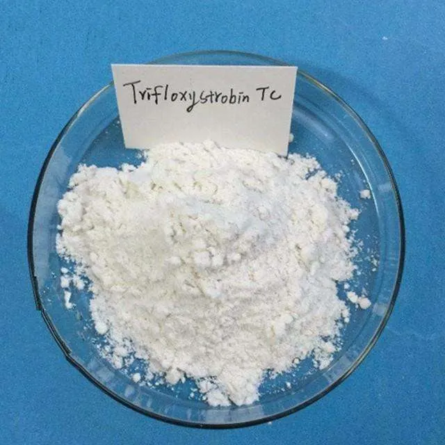 Trifloxystrobin Fungicide: Fast, Broad-Spectrum Protection?