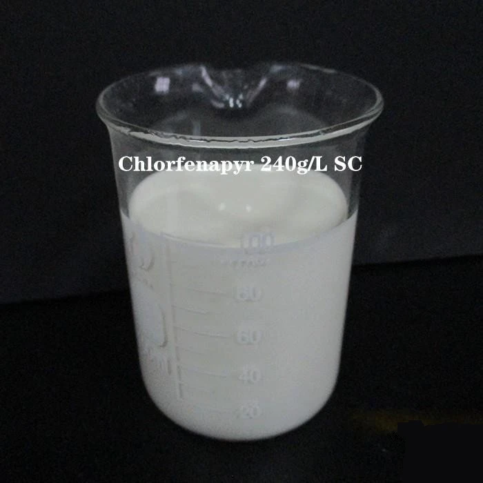 natural bacteria killer