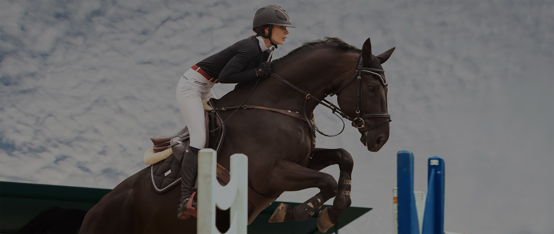 how much does a horse stable cost to build