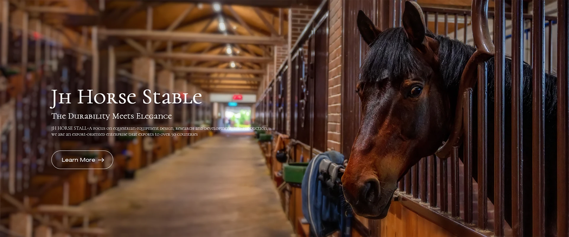 horses in the stable line dance