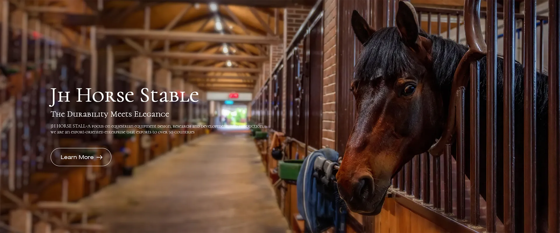 horses in the stable lyrics