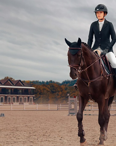 horse stable toy