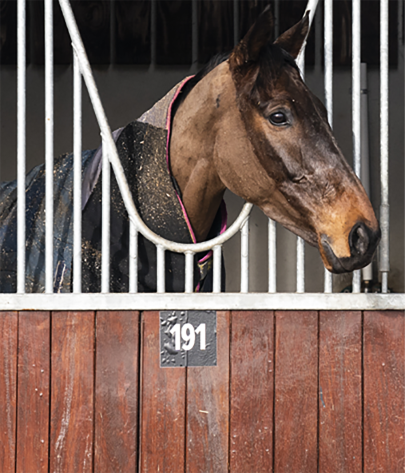 what is a horse stable