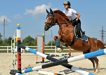 how much is it to stable a horse
