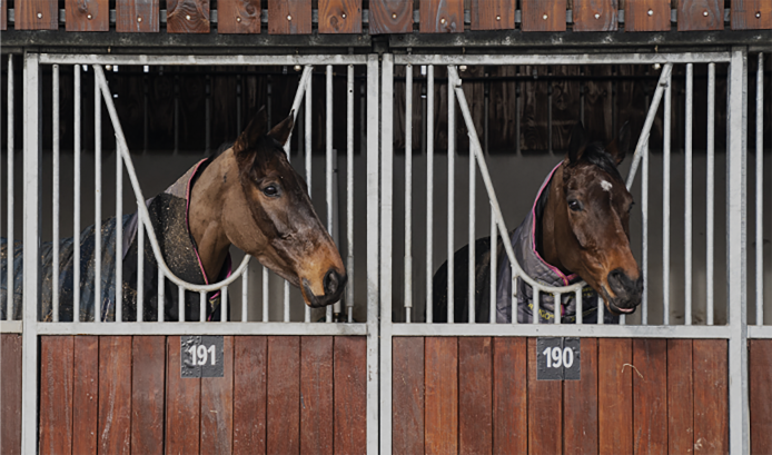 boarding horse stables