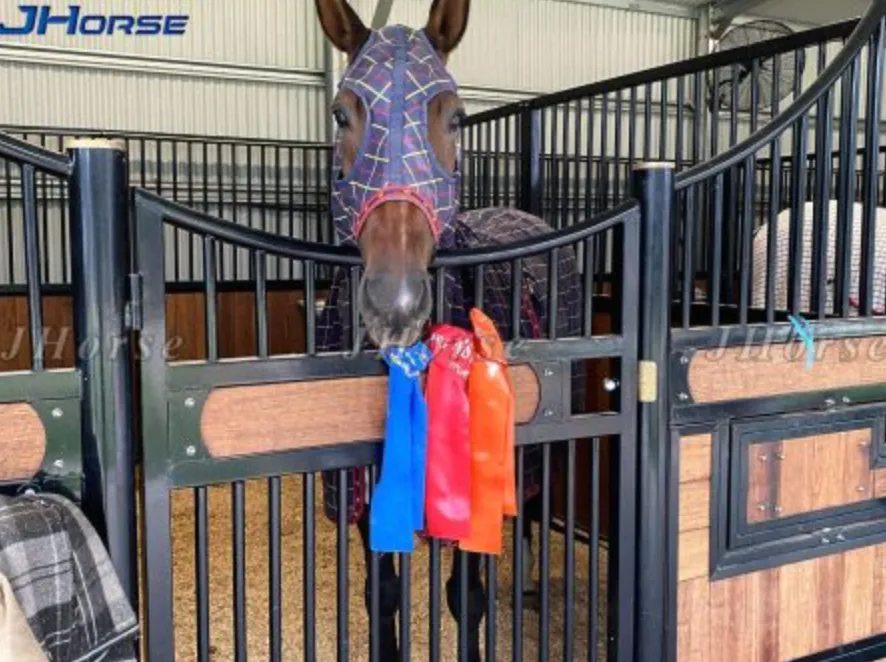 horse in a stable