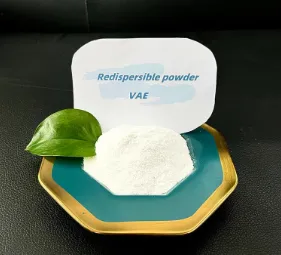 Polymer Powders for Modern Construction