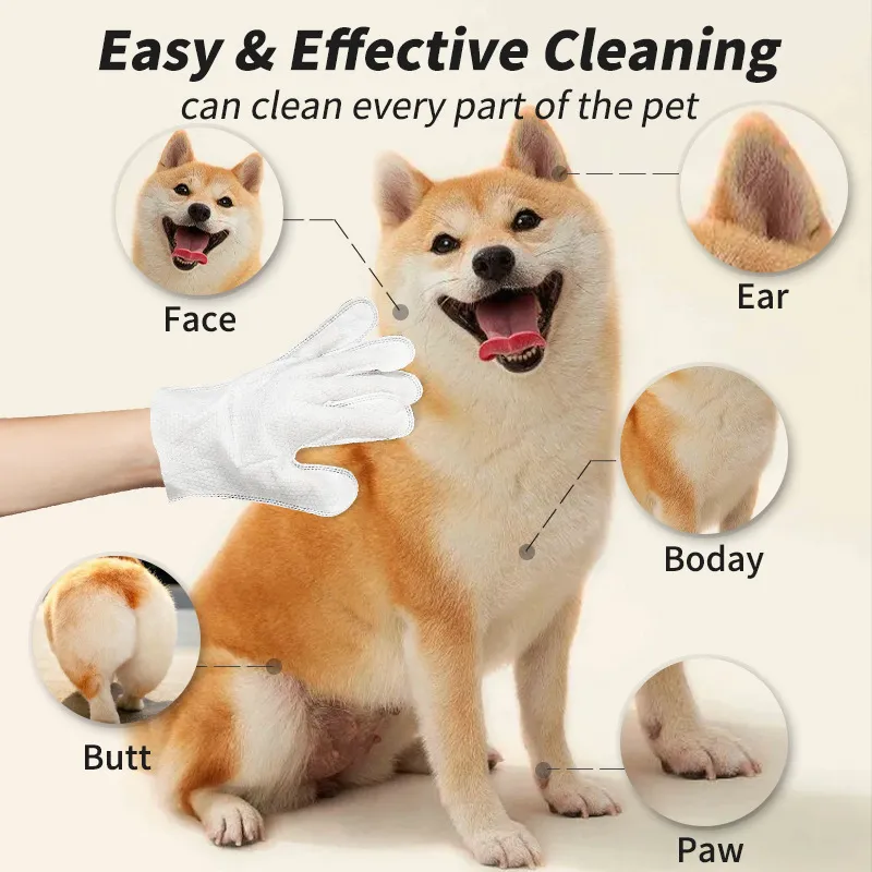 Pet Cleaning Products and Eco-Friendly Variants: A Complete Guide for Pet Owners