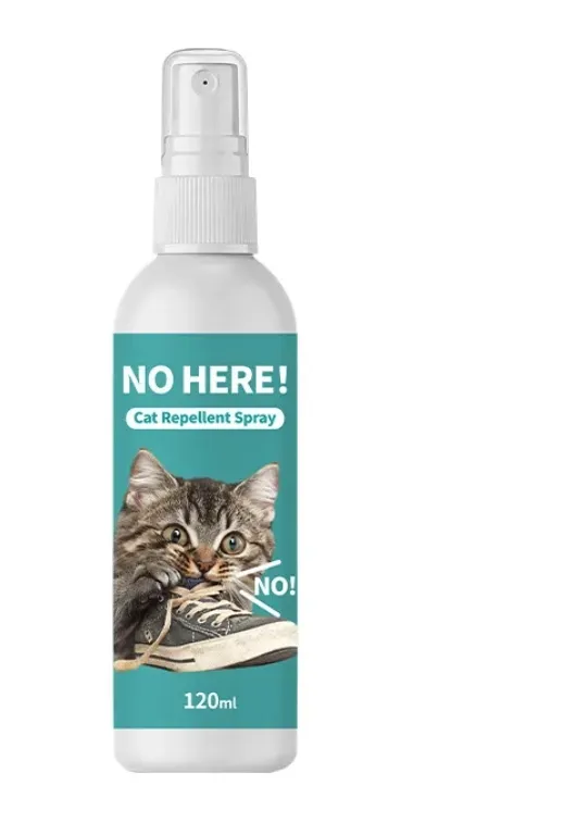 Indoor Cat Repellent Spray: How to Keep Cats Away Without Harm