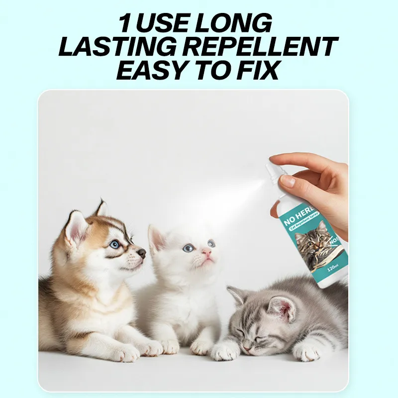 Dog Friendly Cleaning Products