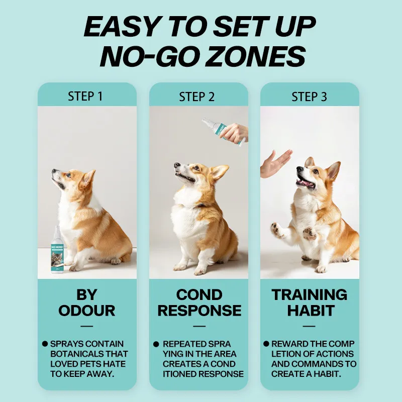 Read More About pet friendly cleaning products