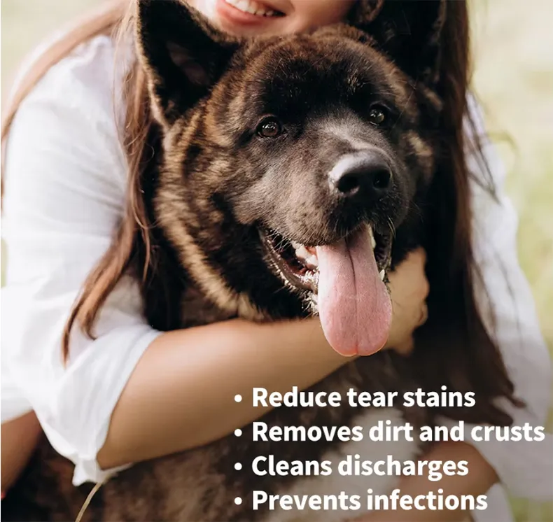 Read More About non toxic cleaning products for pets