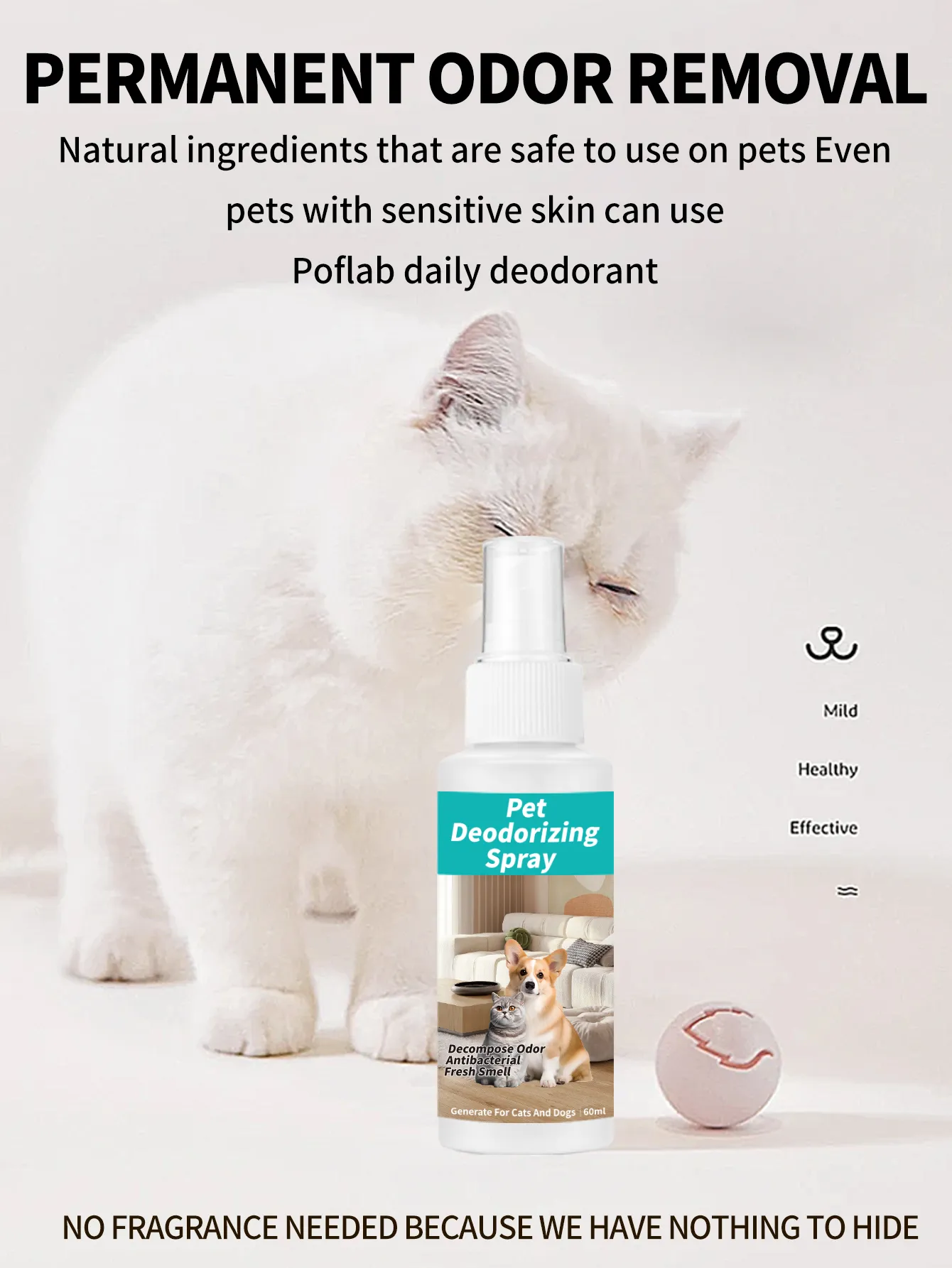 Read More About pet cleaning products