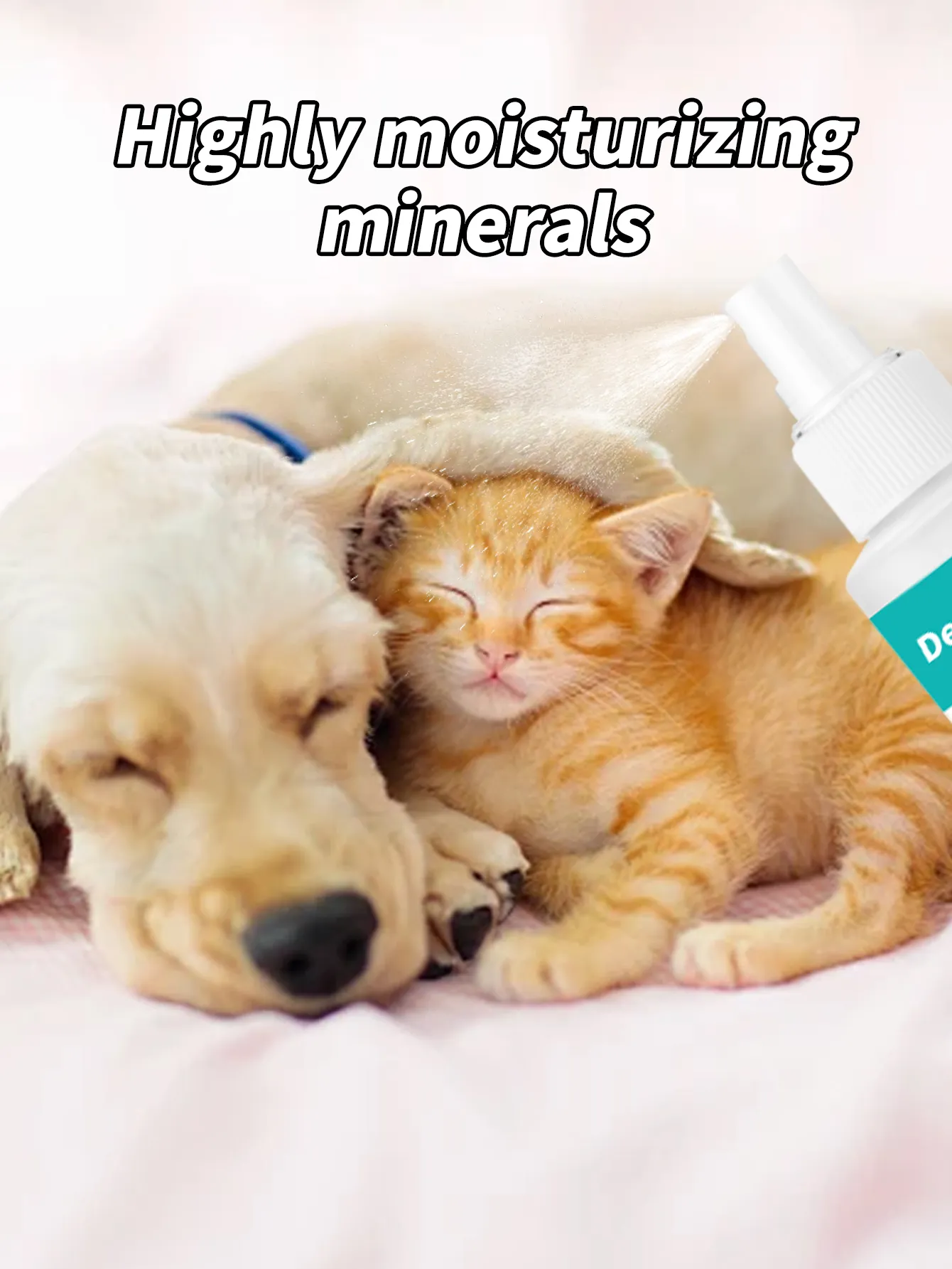Read More About pet cleaning products