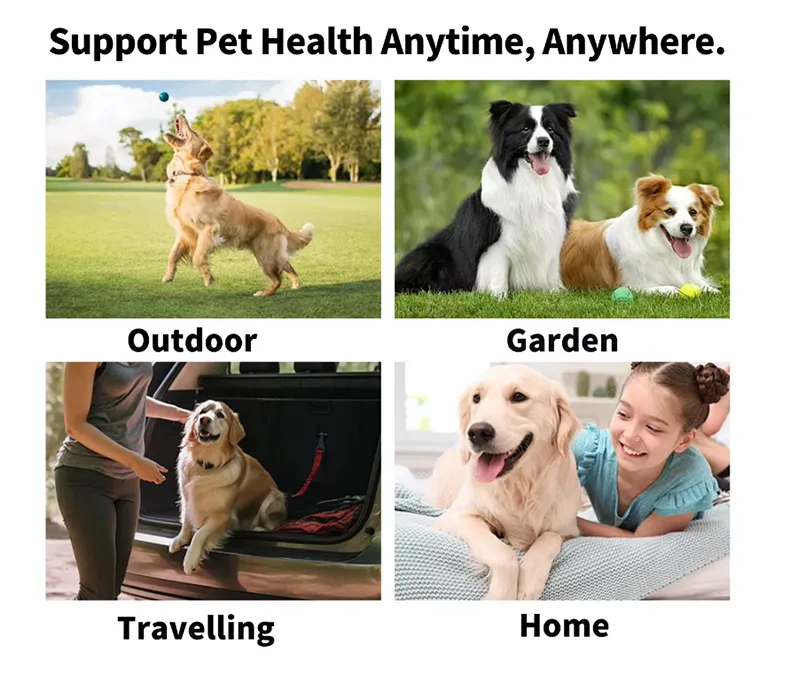 Read More About non toxic cleaning products for pets