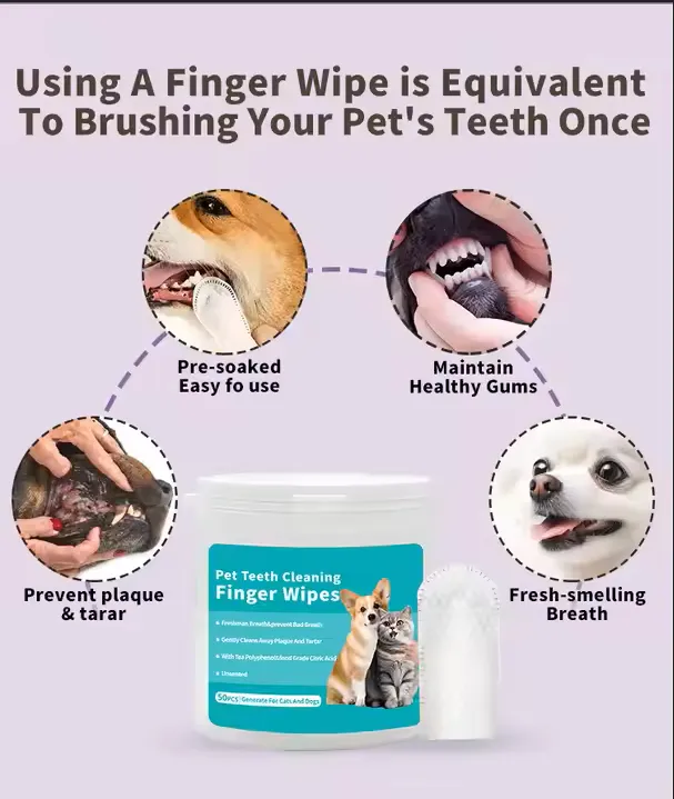 Read More About reptile safe cleaning products