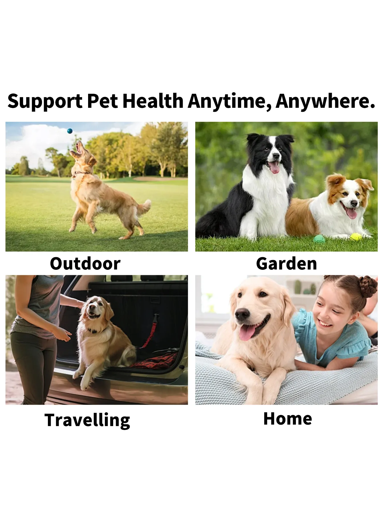 Read More About pet friendly cleaning products