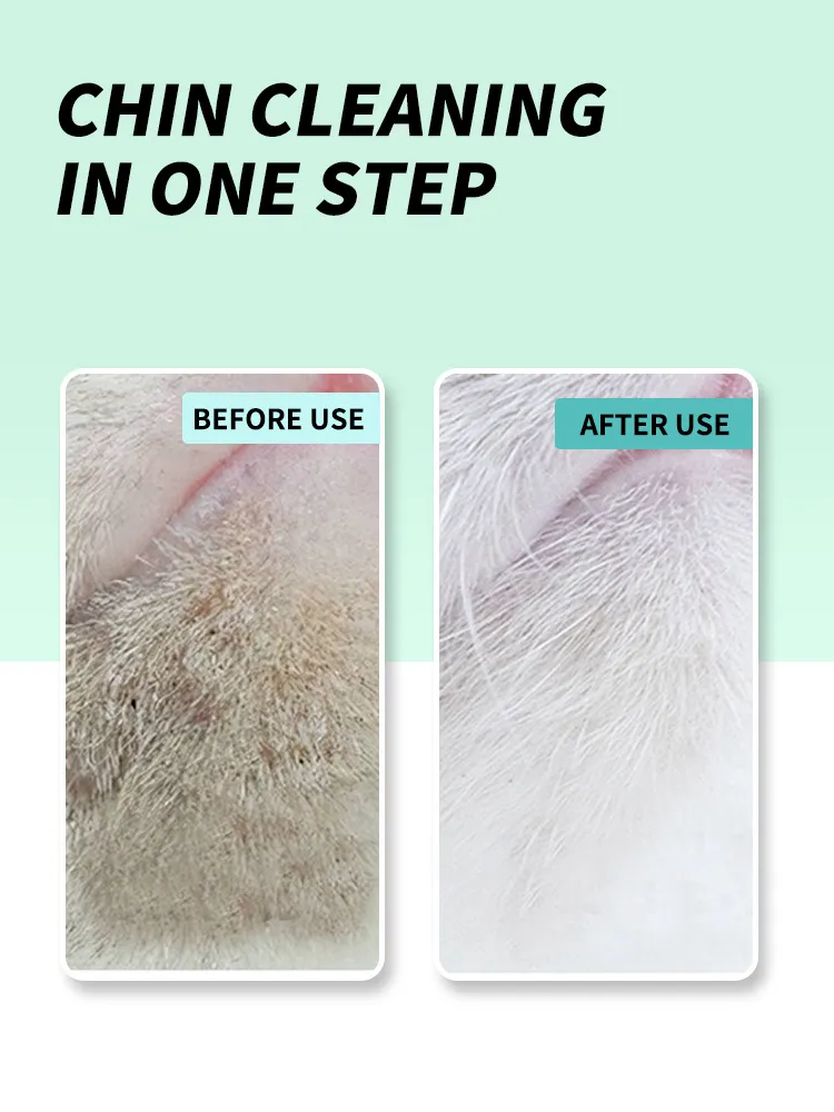 Read More About non toxic cleaning products for pets