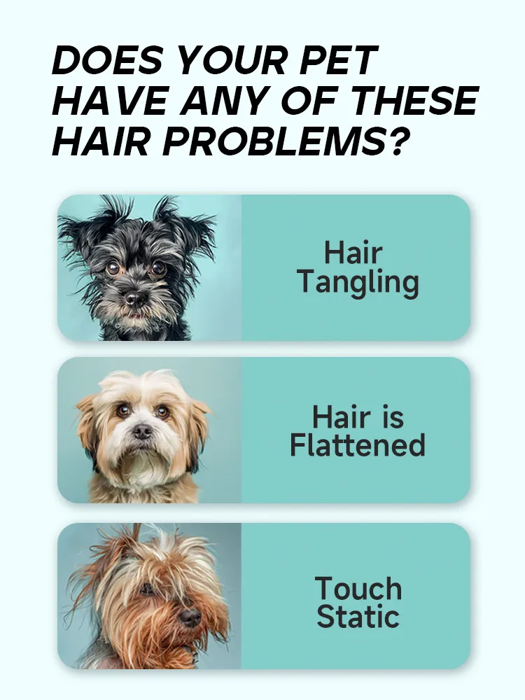 Read More About reptile safe cleaning products