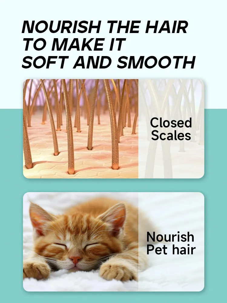 Read More About non toxic cleaning products for pets