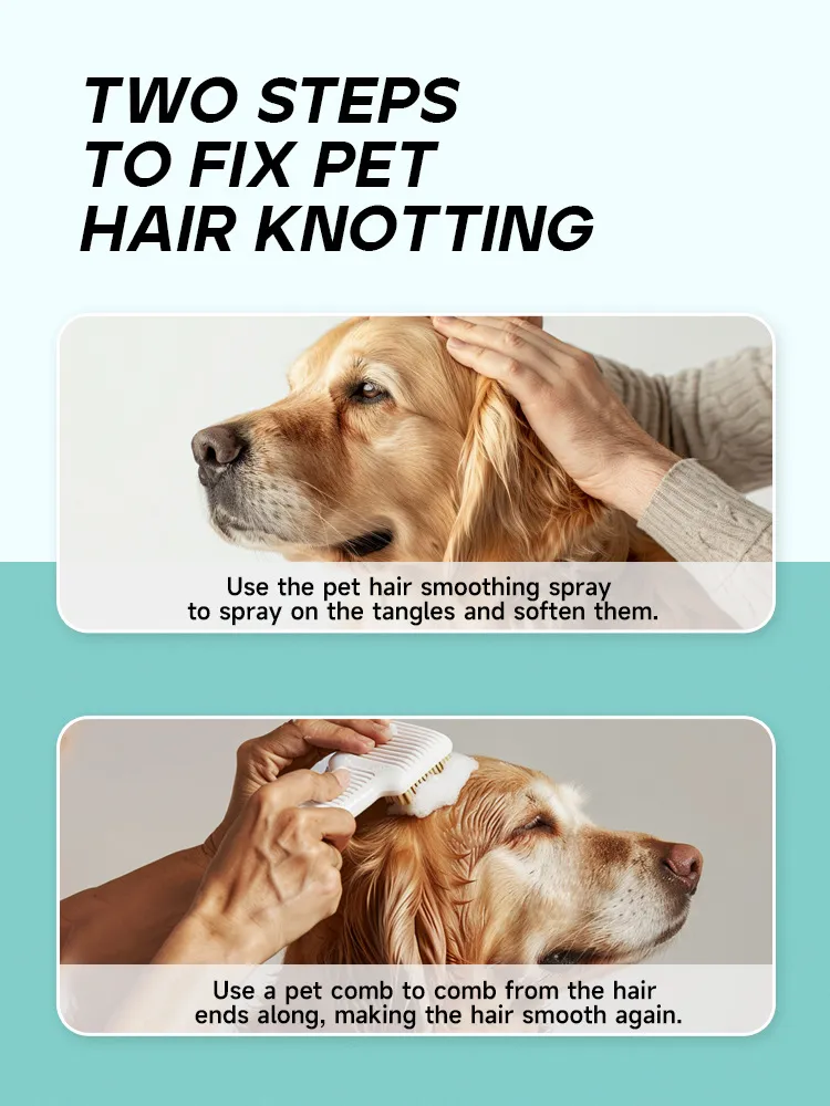 Read More About non toxic cleaning products for pets