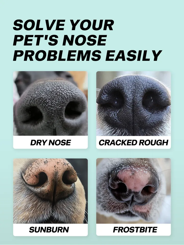 Read More About dog friendly cleaning products