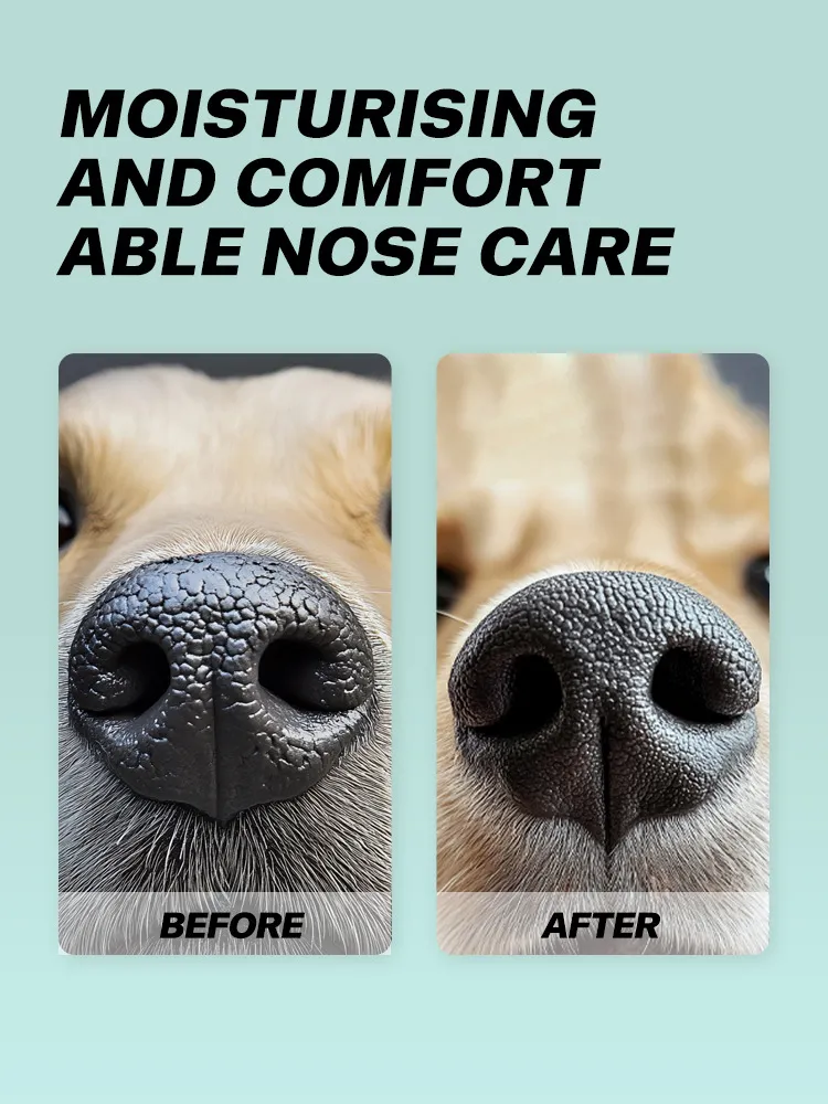 Read More About dog friendly cleaning products