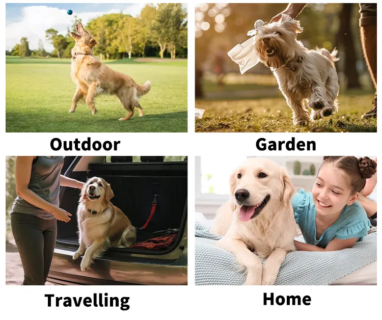 Read More About reptile safe cleaning products