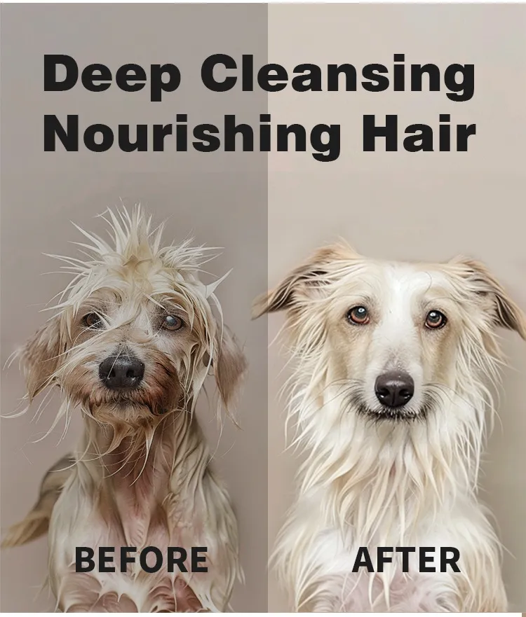 Read More About reptile safe cleaning products