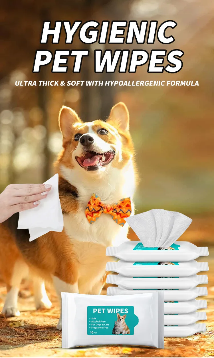 Read More About natural pet cleaning products