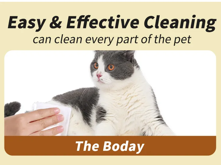 Read More About natural pet cleaning products