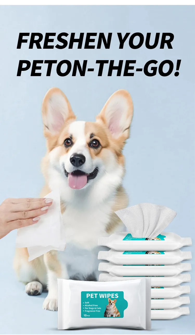 Read More About pet cleaning products