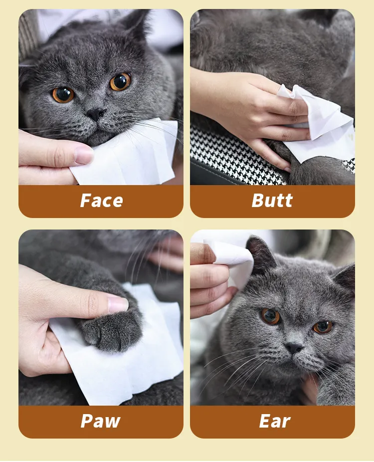 Read More About eco friendly pet cleaning products