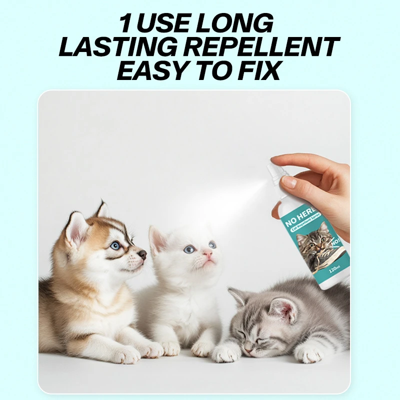 Keep Your Home Cat-Free with the Best Cat Repellent Spray