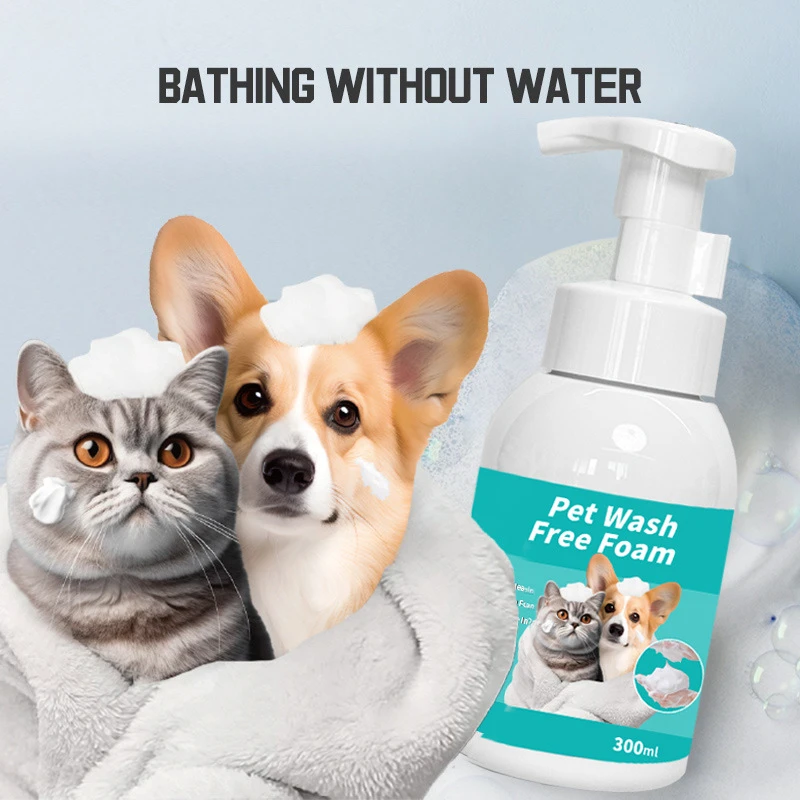 Enhancing Your Pet's Hygiene with Eco-Friendly Cleaning Products