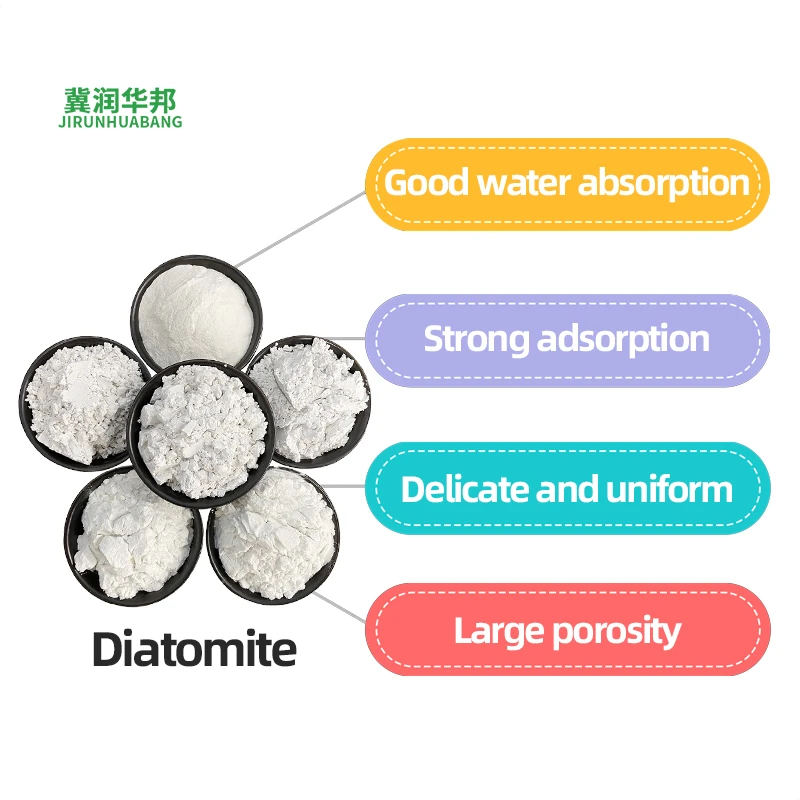 What is Diatomite? A Natural Mineral Powering Industry and Daily Life