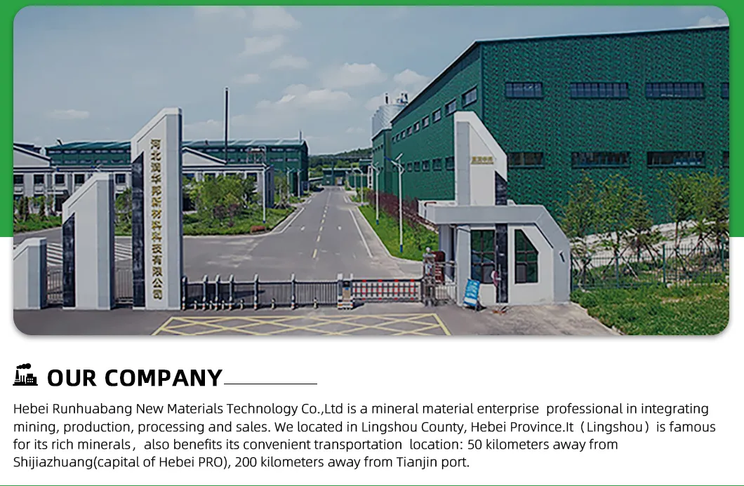 100 diatomaceous earth