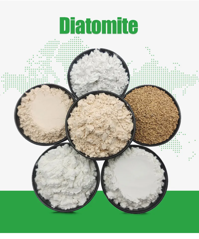 Diatomite for air purification water filtration eco friendly production porous structure adsorption capacity industrial catalyst carrier biodegradable plastic filler interior decoration