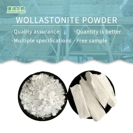 Enhance Your Products with Nano Wollastonite Powder Enhance Your Products with Nano Wollastonite Powder