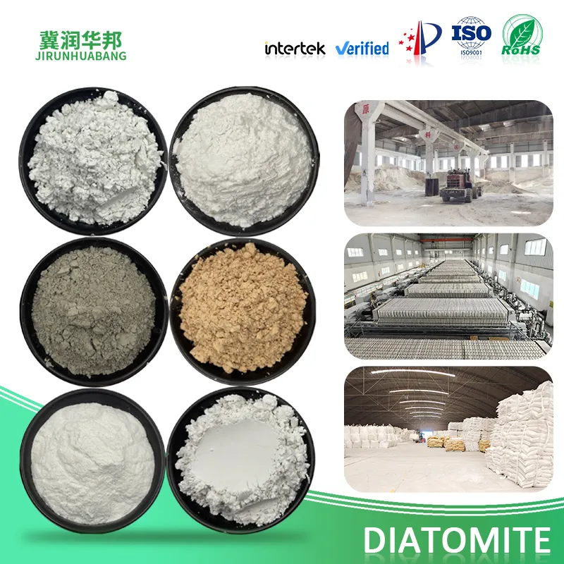 Diatomite: Nature’s Miraculous Porous Mineral for Global Industries Diatomite: Nature’s Miraculous Porous Mineral for Global Industries