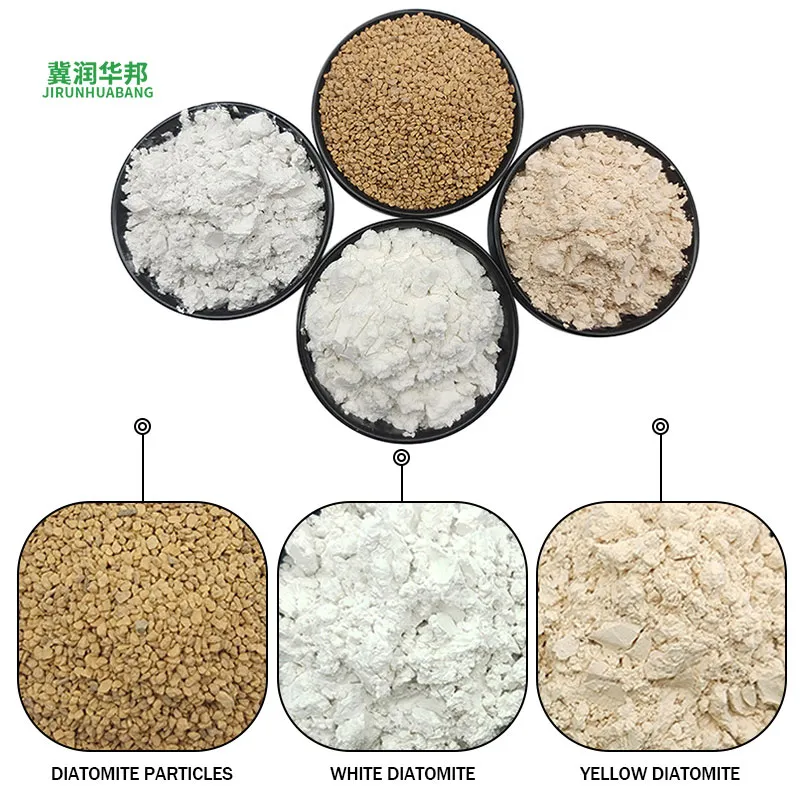 The Versatility of Diatomaceous Earth for Your Needs