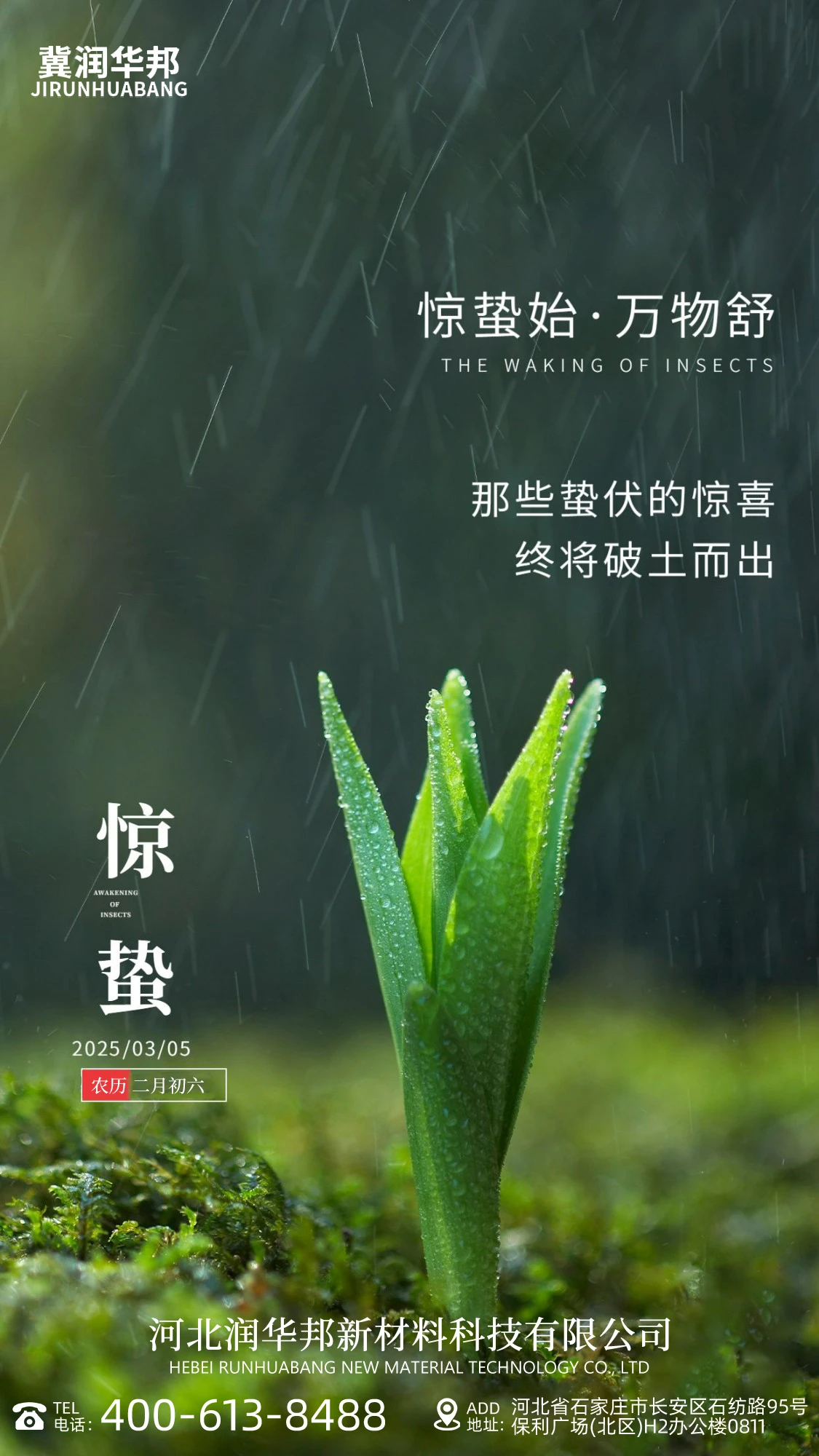 Everything comes back to life Insects Awaken