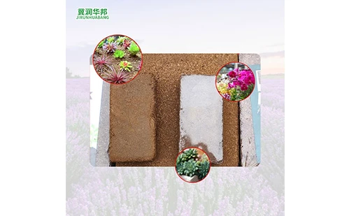 Runhuabang Coco Peat 25kg Block Coconut Peat Brick For Plants Horticultural Flowers