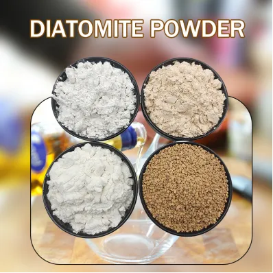 What is Diatomite? A Natural Mineral Powering Industry and Daily Life