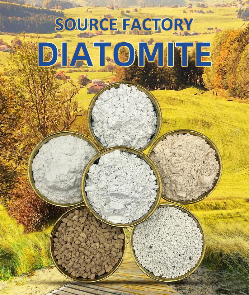 Read More About diatomaceous earth bulk