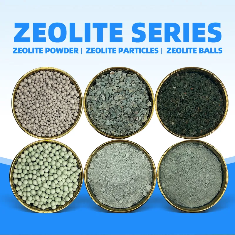 What is Zeolite?