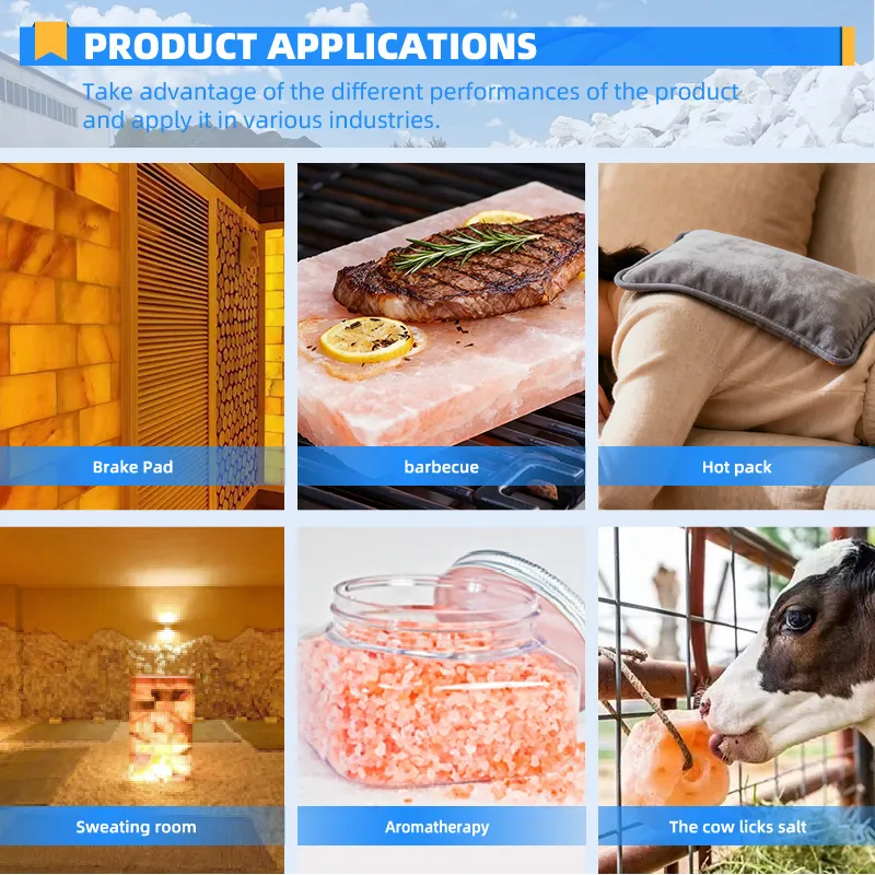 Read More About salt block suppliers