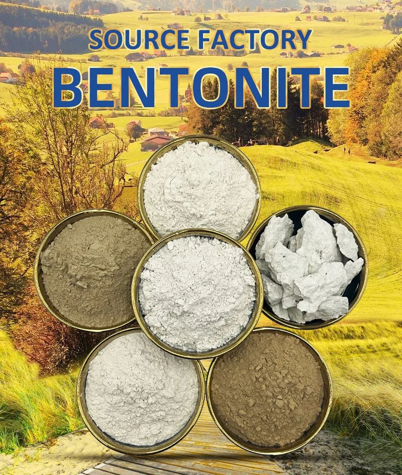 Read More About bentonite clay powder bulk