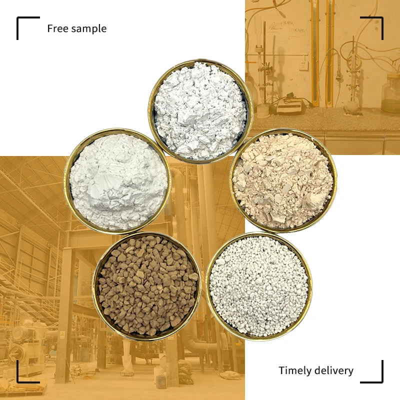 What is Diatomaceous Earth?